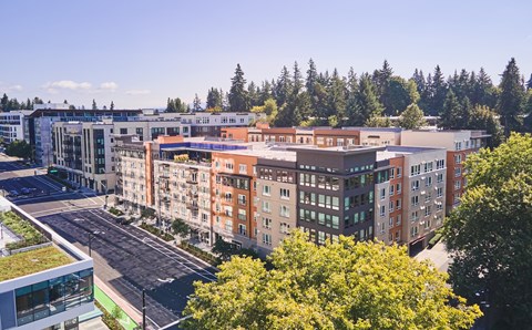 an aerial view of a city with buildings and trees